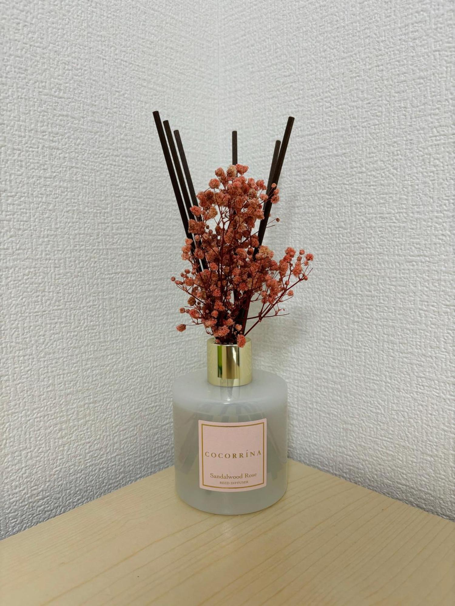 Bon House Kanamachi Direct To Sensoji Skytree Disneyland Airport Free Parking Tokyo prefektur Exteriör bild